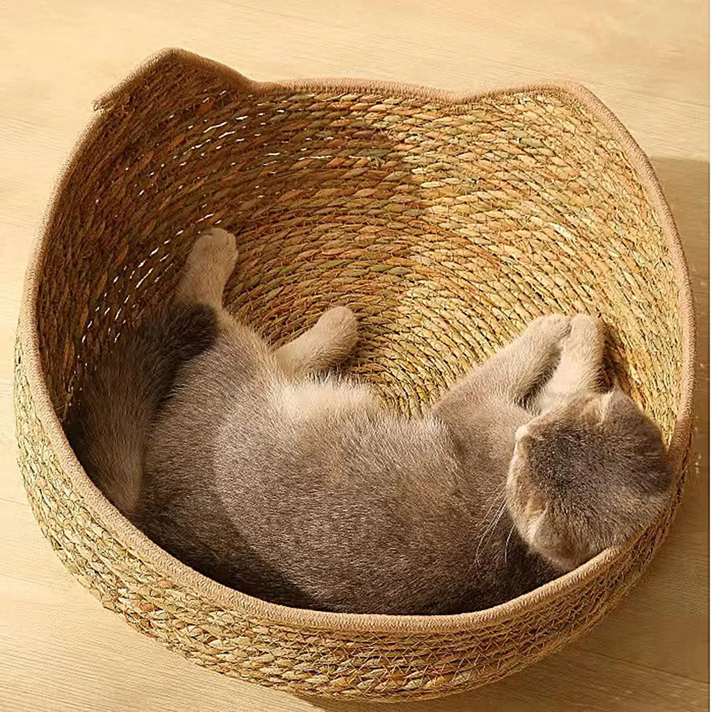 Maison Paws Bed