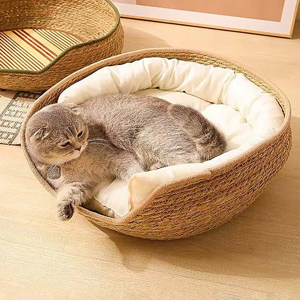 Maison Paws Bed